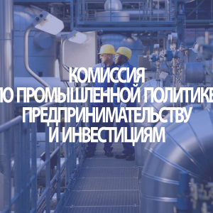 Комиссия по промышленной политике, предпринимательству и инвестициям