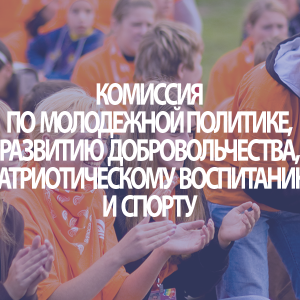 Комиссия по молодежной политике, развитию добровольчества, патриотическому воспитанию и спорту