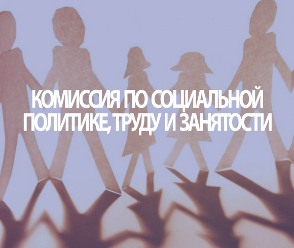 Комиссия по социальной политике, труду и занятости