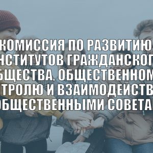 Комиссия по развитию институтов гражданского общества, общественному контролю и взаимодействию с общественными советами