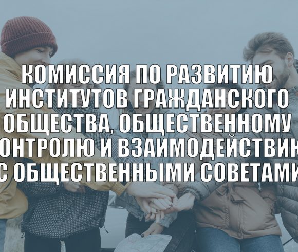 Комиссия по развитию институтов гражданского общества, общественному контролю и взаимодействию с общественными советами