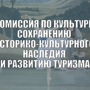 Комиссия по культуре, сохранению историко-культурного наследия и развитию туризма