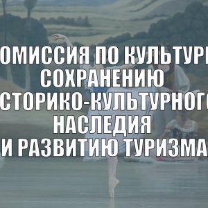 Комиссия по культуре, сохранению историко-культурного наследия и развитию туризма