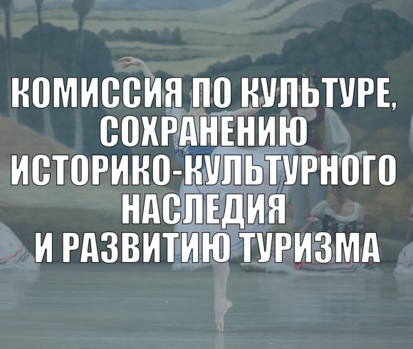 Комиссия по культуре, сохранению историко-культурного наследия и развитию туризма