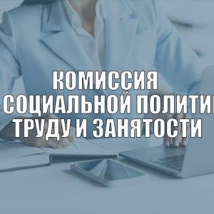 Комиссия по социальной политике, труду и занятости