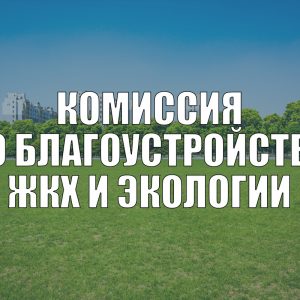 Комиссия по благоустройству, ЖКХ и экологии