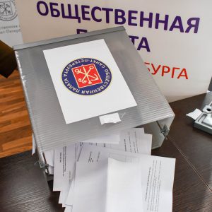 Санкт-Петербург в новом составе Общественной палаты РФ будет представлять Кристина Федосеева
