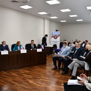 Общественная палата Санкт-Петербурга сформировала совет и новые комиссии