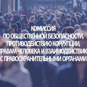 Комиссия по общественной безопасности, противодействию коррупции, правам человека и взаимодействию с правоохранительными органами