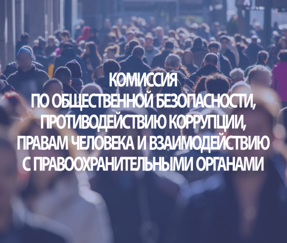 Комиссия по общественной безопасности, противодействию коррупции, правам человека и взаимодействию с правоохранительными органами