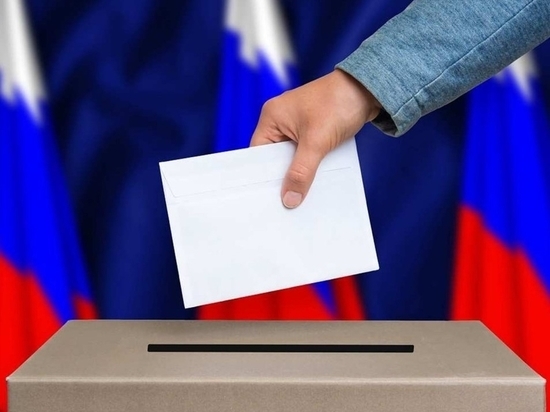 Штаб по общественному наблюдению за общероссийским голосованием заработал в Санкт-Петербурге