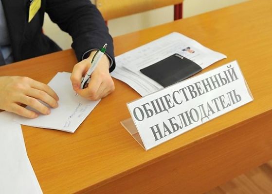 Более 5 тысяч петербуржцев уже вошли в корпус общественных наблюдателей к голосованию по поправкам в Конституцию РФ