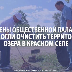 Члены Общественной палаты помогли очистить территорию озера в Красном селе