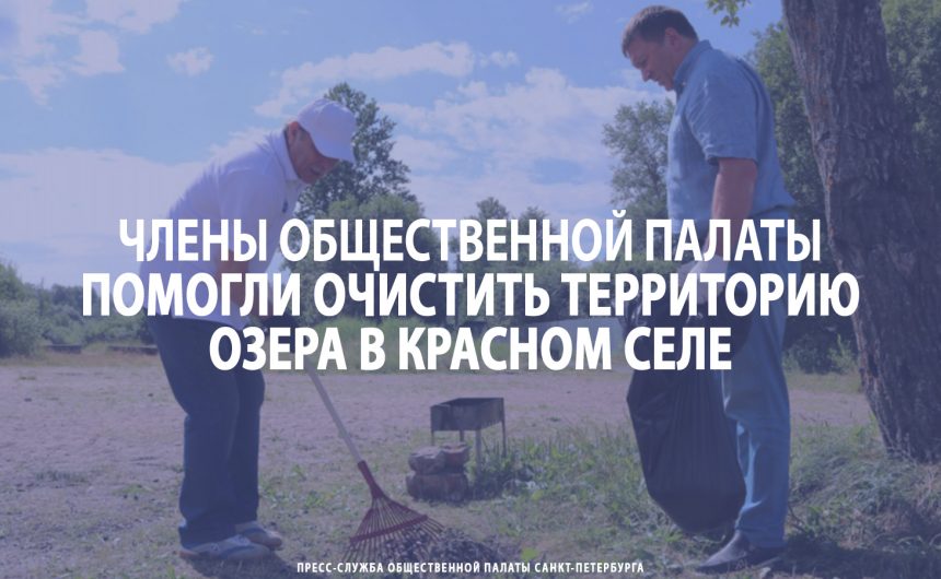 Члены Общественной палаты помогли очистить территорию озера в Красном селе