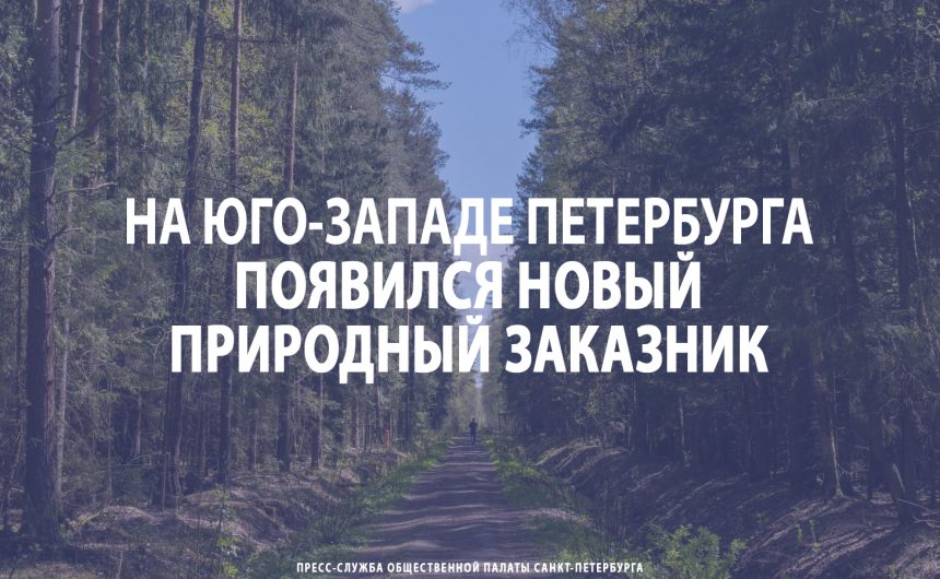 На юго-западе Петербурга появился новый природный заказник