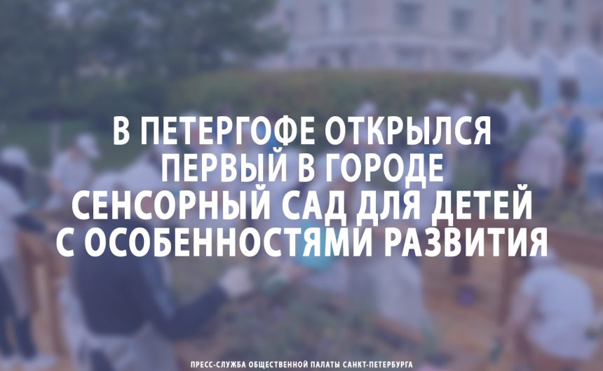 В Петергофе открылся первый в городе сенсорный сад для детей с особенностями развития В Петергофе открылся первый в городе сенсорный сад для детей с особенностями развития
