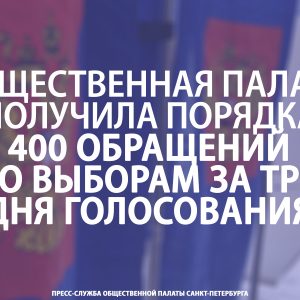 Общественная палата получила порядка 400 обращений по выборам за три дня голосования