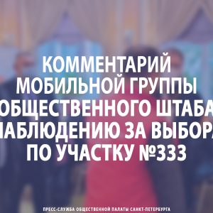 Комментарий мобильной группы Общественного штаба по наблюдению за выборами по участку №333