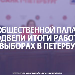 В Общественной палате подвели итоги работы на выборах в Петербурге