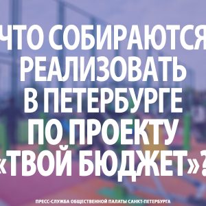 Что собираются реализовать в Петербурге по проекту «Твой бюджет»?