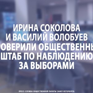 Ирина Соколова и Василий Волобуев проверили Общественный штаб по наблюдению за выборами