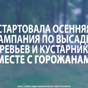 Стартовала осенняя кампания по высадке деревьев и кустарников вместе с горожанами