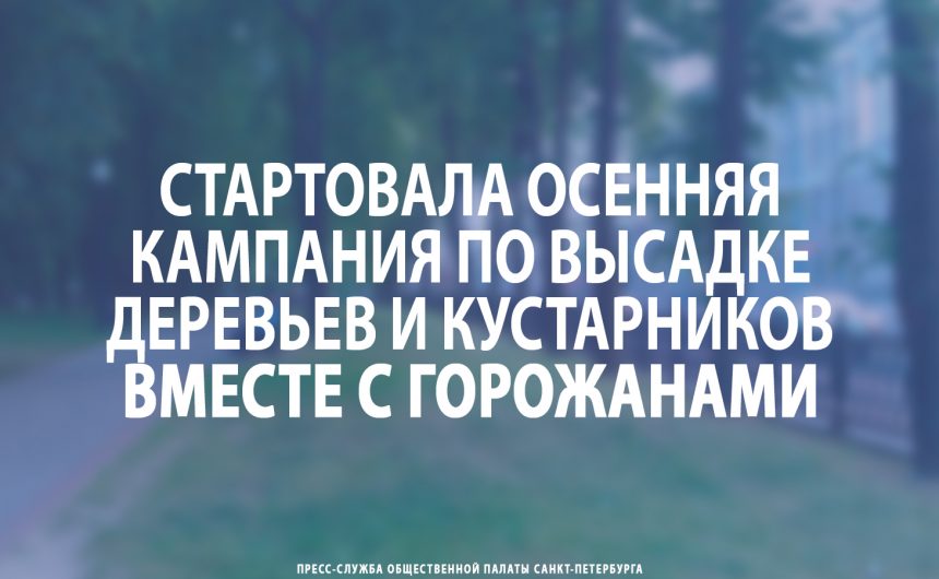 Стартовала осенняя кампания по высадке деревьев и кустарников вместе с горожанами Стартовала осенняя кампания по высадке деревьев и кустарников вместе с горожанами