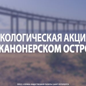 Экологическая акция на Канонерском острове