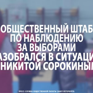 Общественный штаб по наблюдению за выборами разобрался в ситуации с Никитой Сорокиным
