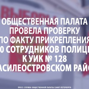 Общественная палата провела проверку по факту прикрепления 350 сотрудников полиции к УИК № 128 в Василеостровском районе