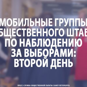 Мобильные группы Общественного штаба по наблюдению за выборами: второй день