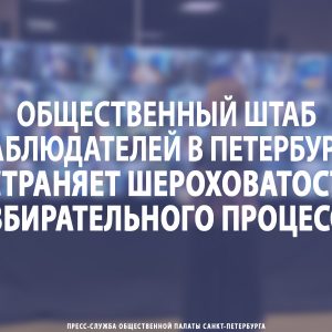 Общественный штаб наблюдателей в Петербурге устраняет шероховатости избирательного процесса