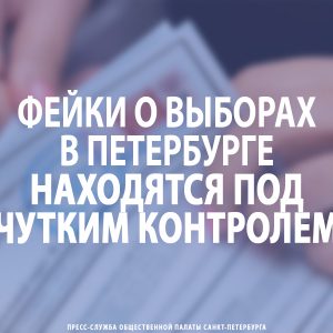 Фейки о выборах в Петербурге находятся под чутким контролем