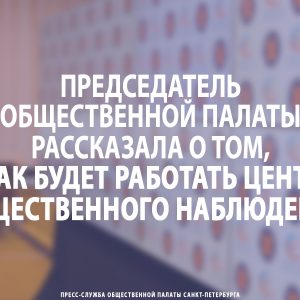 Председатель Общественной палаты Петербурга рассказала о том, как будет работать Центр общественного наблюдения
