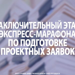 Заключительный этап экспресс-марафона по подготовке проектных заявок