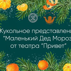 Кукольное представление «Маленький Дед Мороз» от театра «Привет»