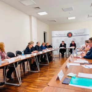 В Общественной палате Петербурга обсудили вопросы соблюдения законодательства о несовершеннолетних в петербургских СМИ и новых медиа
