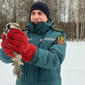 Сегодня отмечается Всемирный день дикой природы
