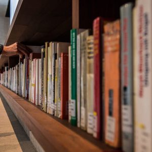 Правительство Петербурга поддержит субсидиями проекты по развитию культуры чтения
