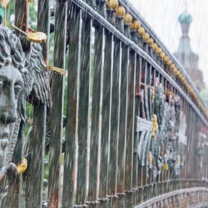 В Петербурге объявлен «желтый» уровень опасности из-за грозы