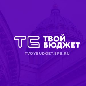 Дмитрий Солонников, член Общественной палаты Санкт-Петербурга рассказал о плюсах программы «Твой бюджет»