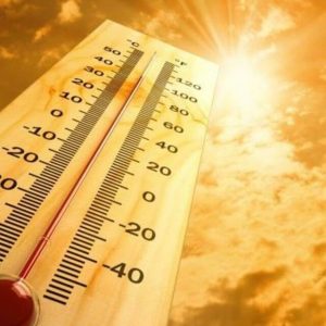 В Петербурге до 00 часов 5 июля продлен уровень пожарной опасности четвертого класса