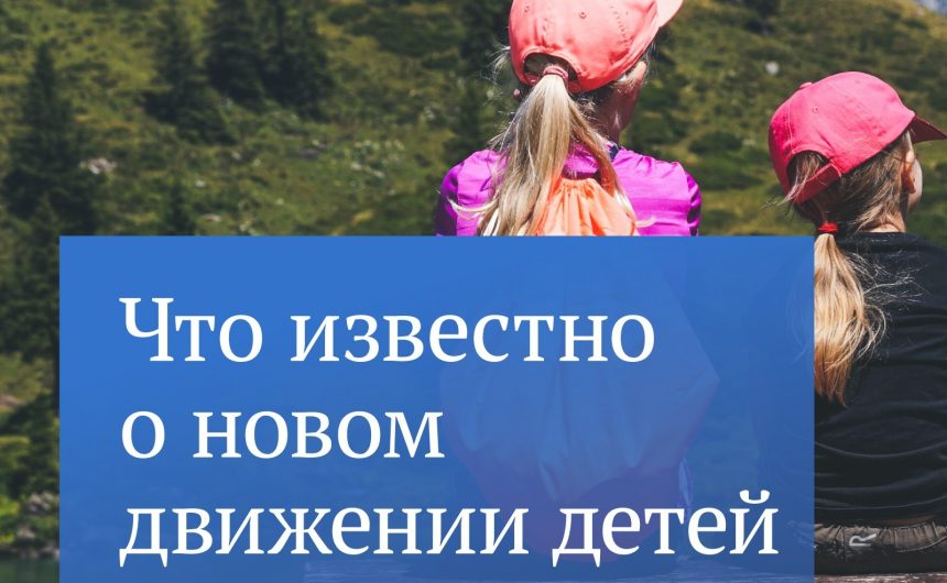 Подписан и вступил в силу закон о новом молодежном движении в России Подписан и вступил в силу закон о новом молодежном движении в России
