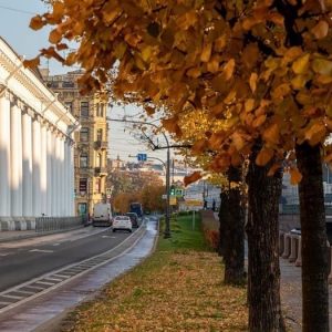 Петербуржцам рассказали о погоде на этой неделе