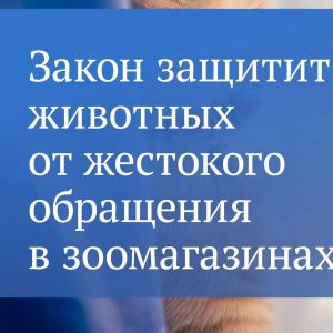 Приходилось ли вам видеть щенков и котят в тесных клетках зоомагазинов? Изменить ситуацию скоро станет возможно!