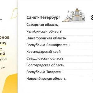 Почти 300 миллионов рублей получат петербургские НКО из Фонда президентских грантов