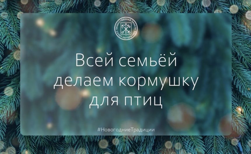 Круглый год в городских парках можно увидеть стаи синичек