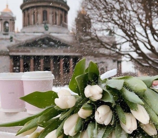 Начало марта в Петербурге будет теплым, с небольшими осадками Начало марта в Петербурге будет теплым, с небольшими осадками