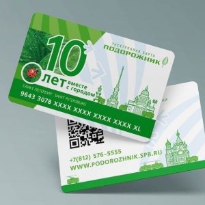 Член Общественной палаты Петербурга Валерий Солдунов рассказал, почему около половины петербуржцев пользуются «Подорожником»