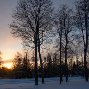 Синоптики считают, что в ближайшее время зима не покинет жителей многих российских городов